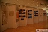 IMG_7229.JPG